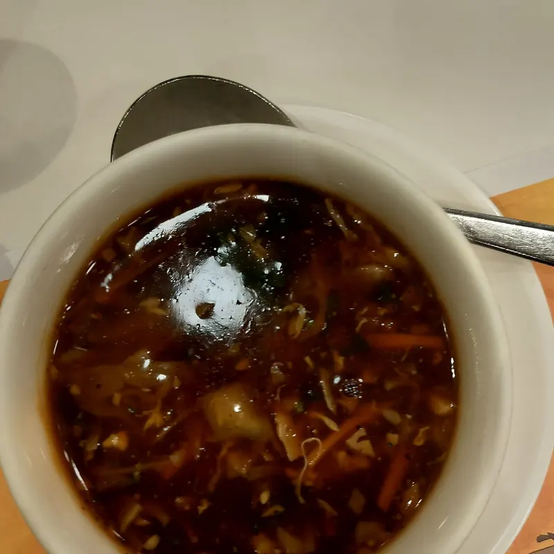 Veg Hot & Sour Soup
